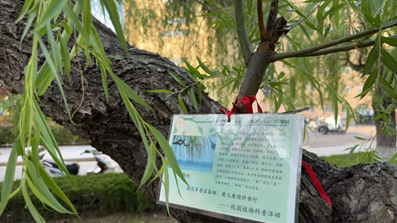 桌子上摆放着广告卡片和一盆植物 AI 生成的内容可能不正确。